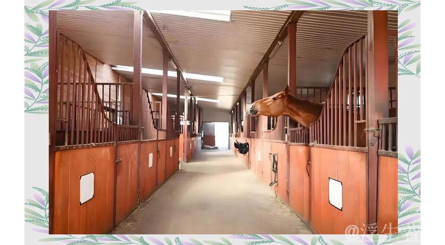 赛前探析——优良马匹与顶级马厩的完美配搭